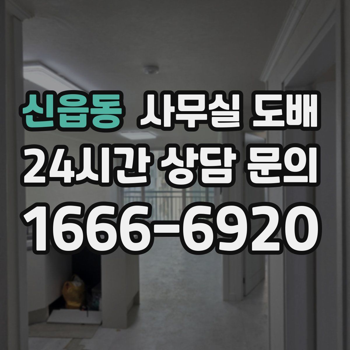 신읍동 사무실 도배