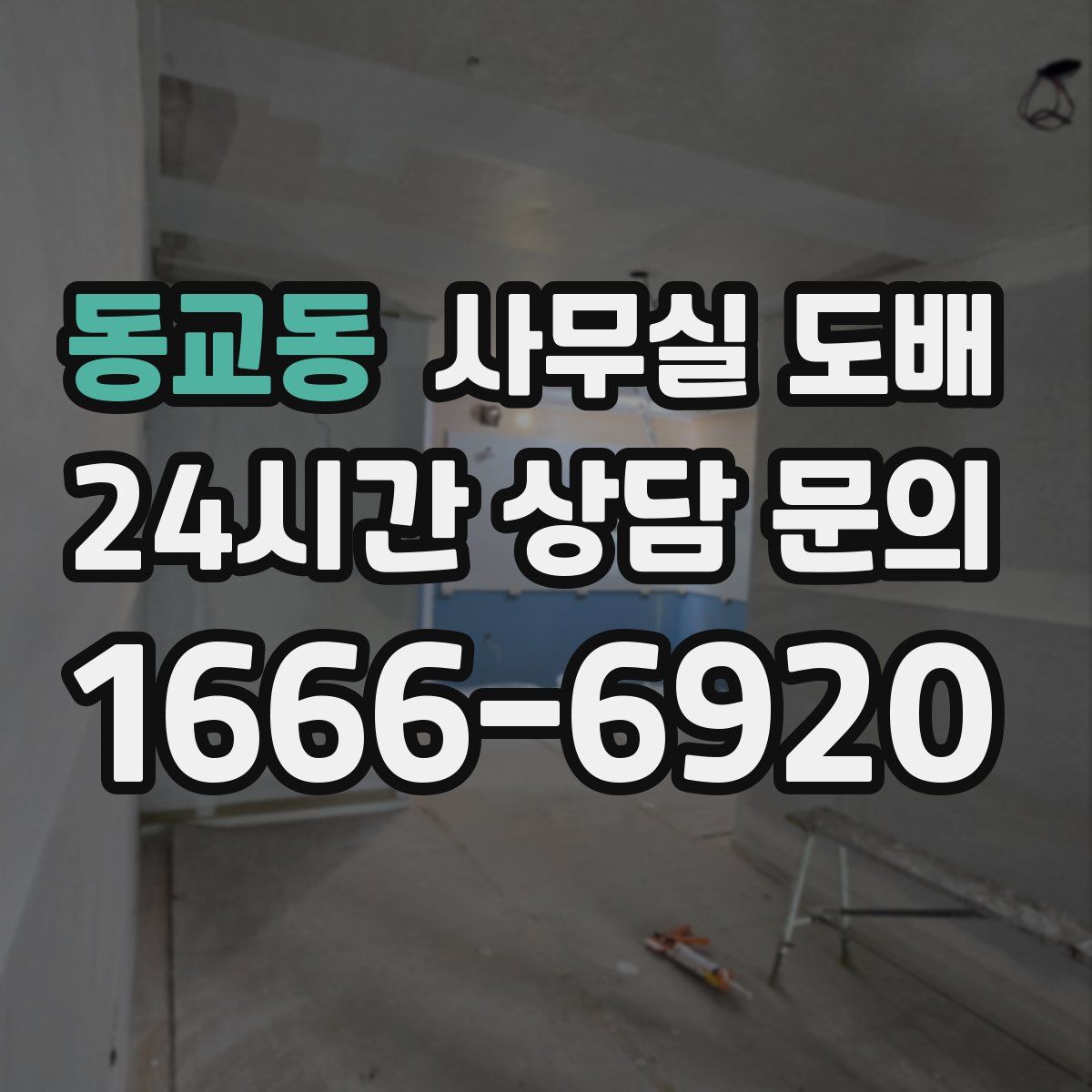 동교동 사무실 도배