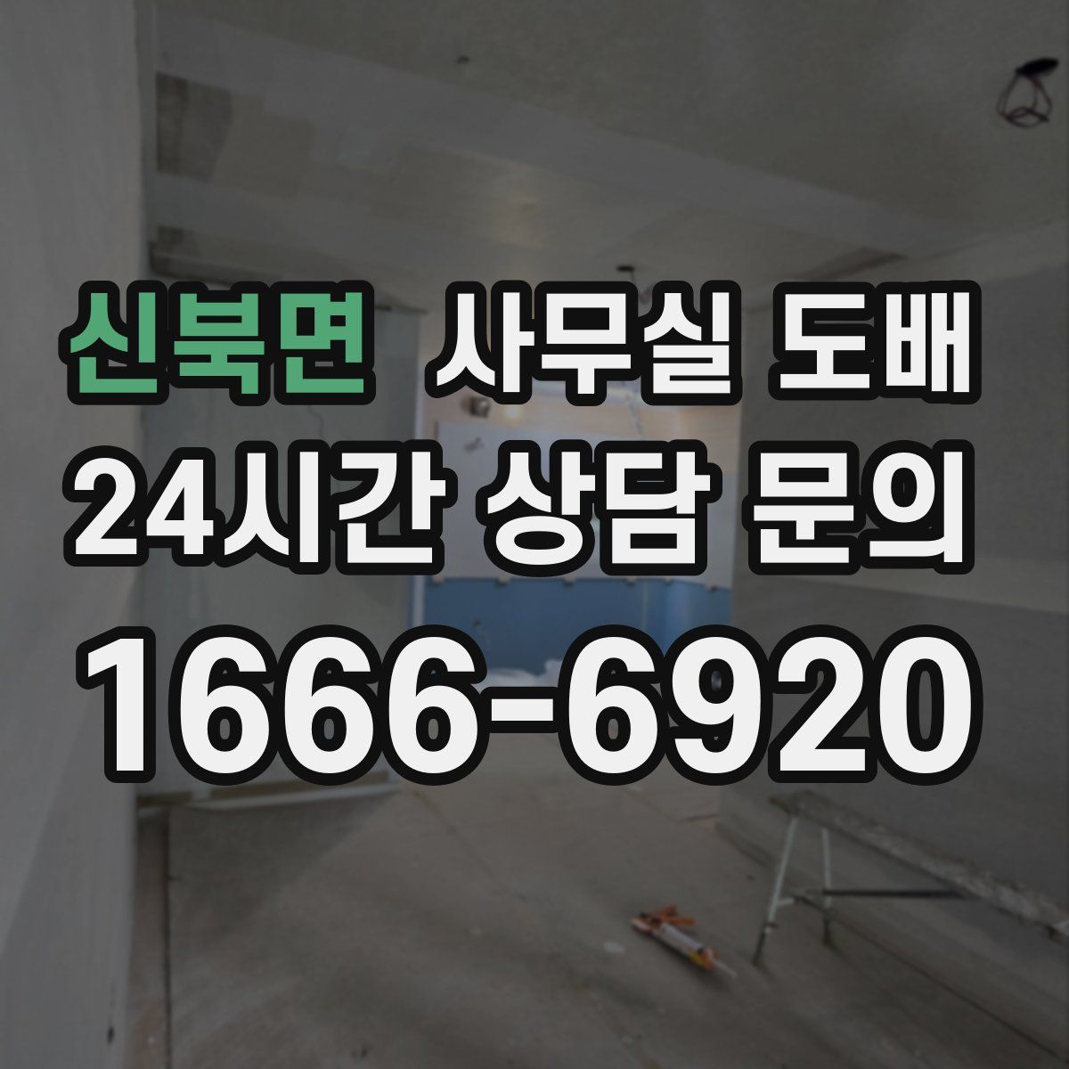 신북면 사무실 도배