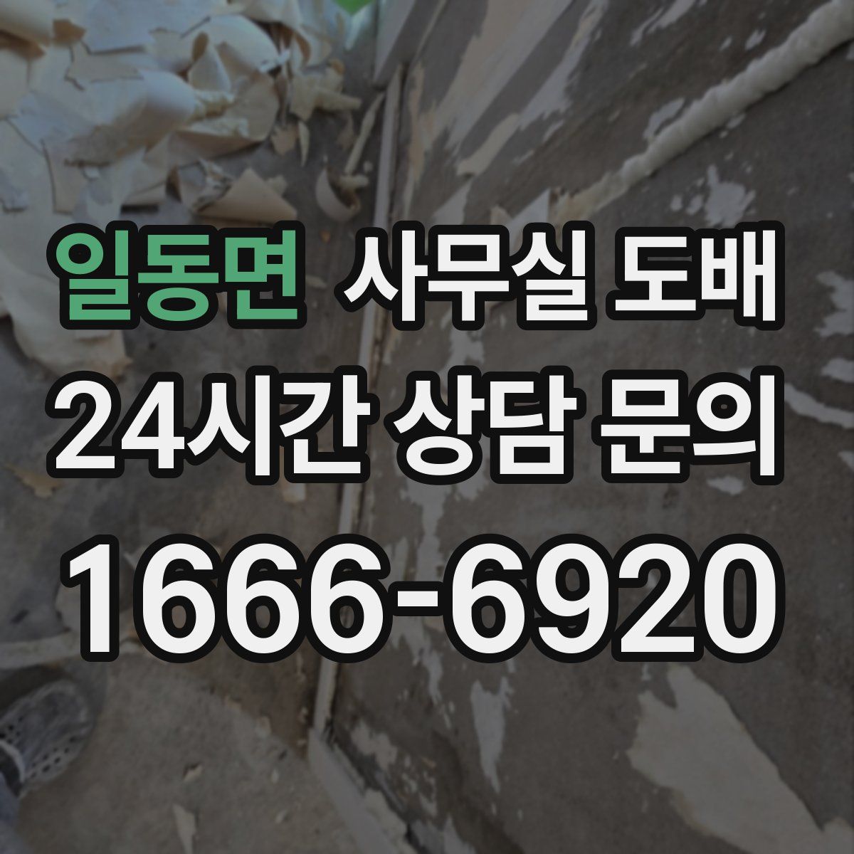 일동면 사무실 도배