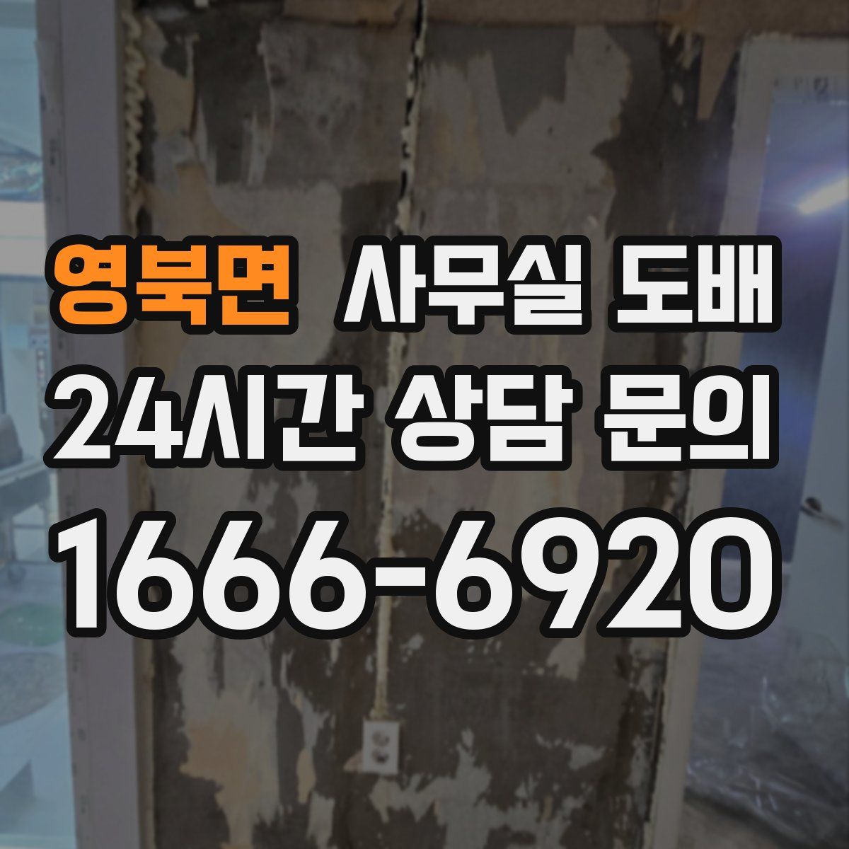 영북면 사무실 도배
