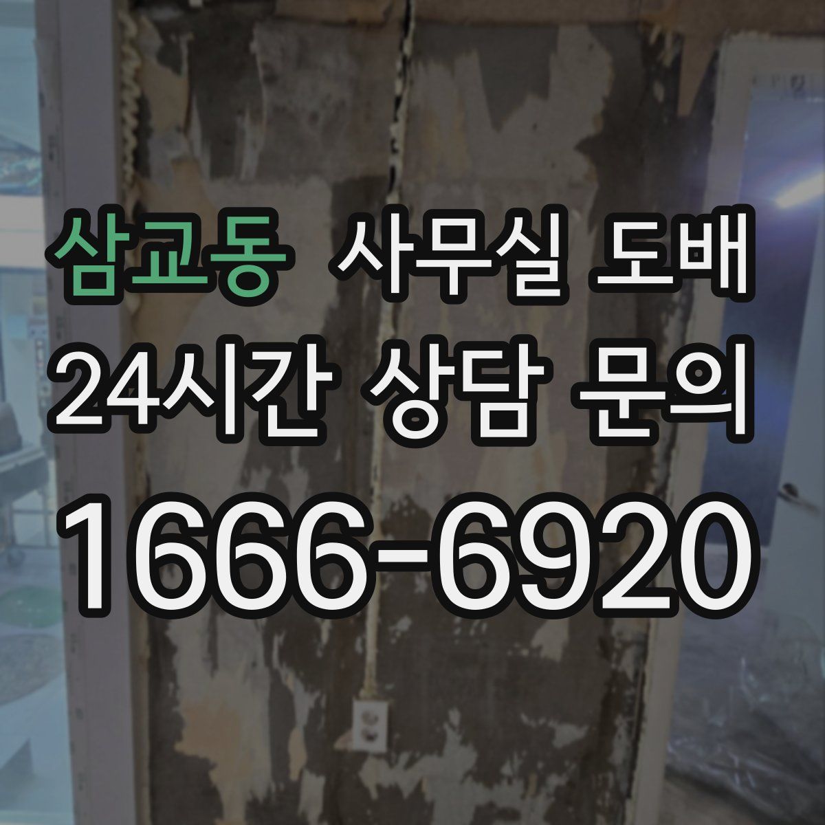 삼교동 사무실 도배