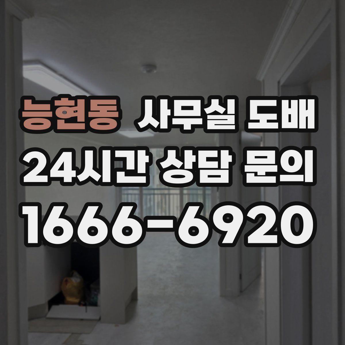 능현동 사무실 도배