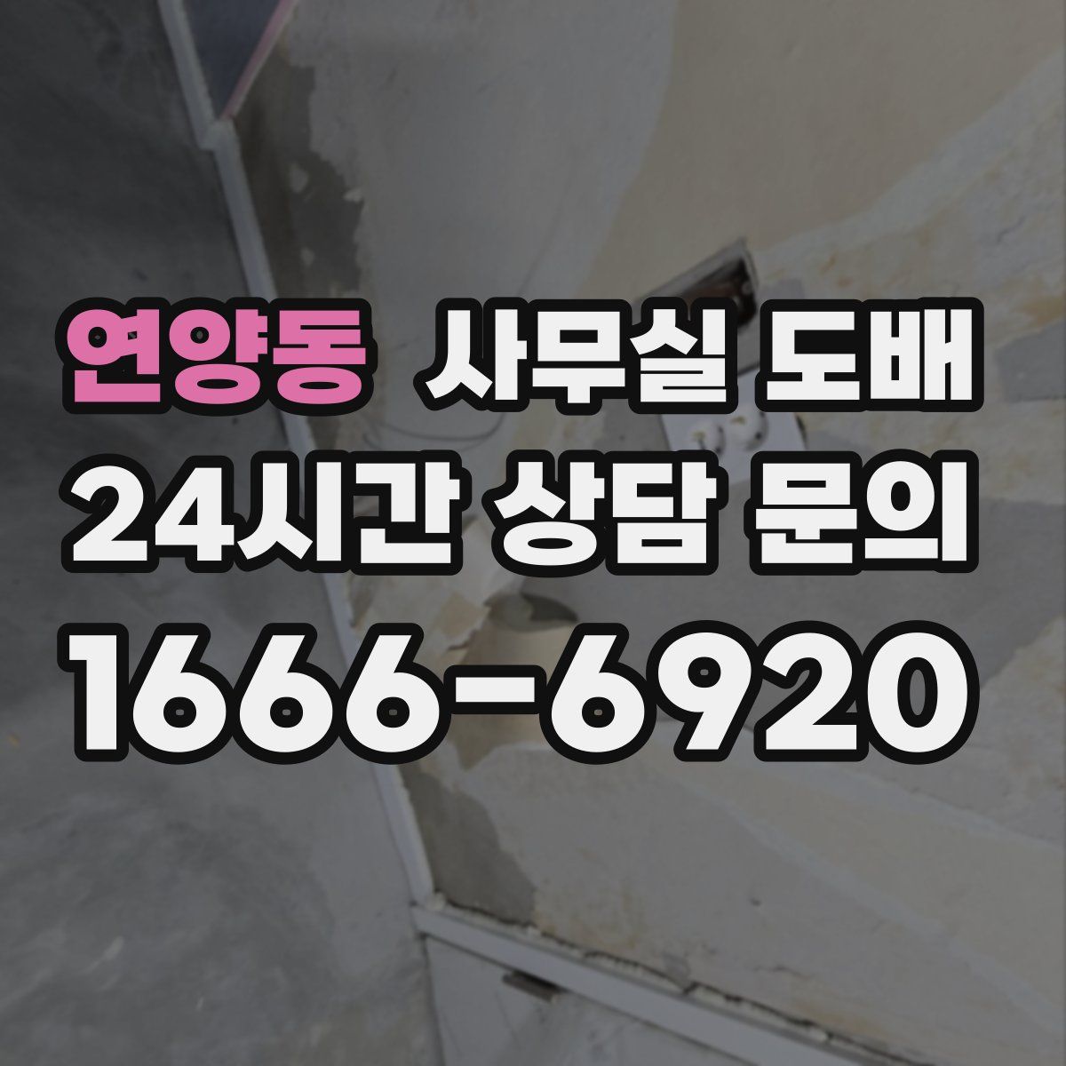 연양동 사무실 도배