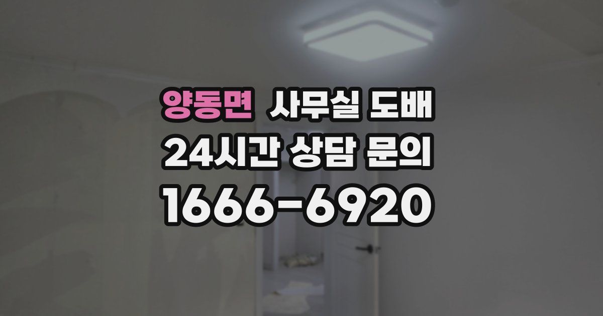 양동면 사무실 도배