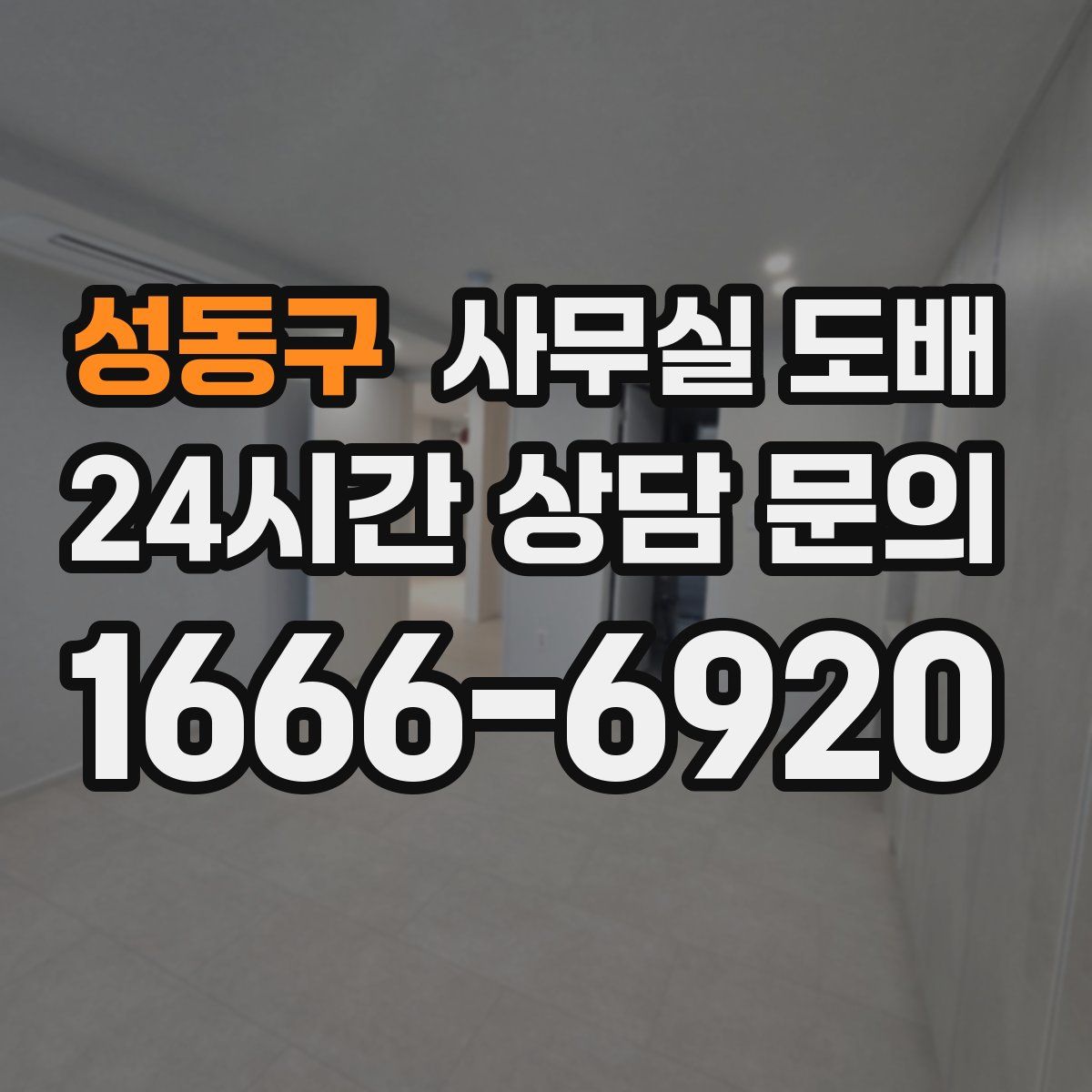성동구 사무실 도배