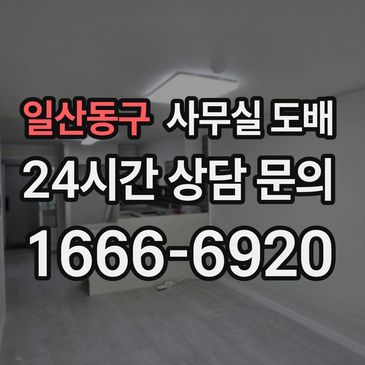 일산동구 사무실 도배