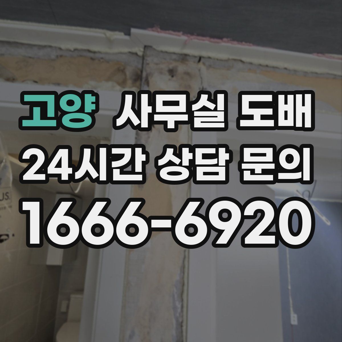 고양 사무실 도배
