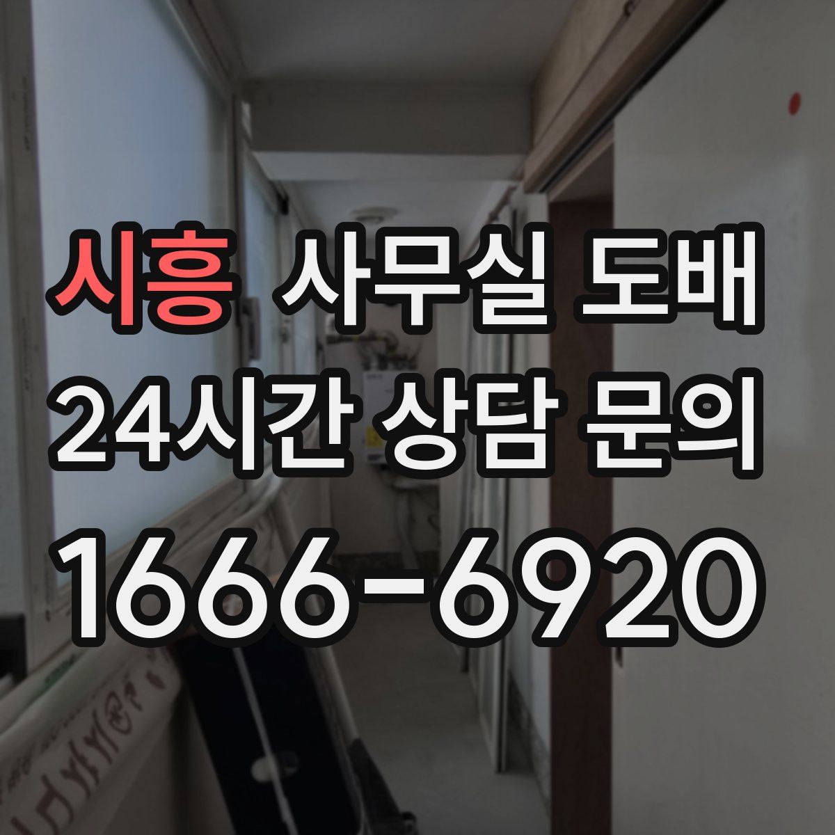 시흥 사무실 도배