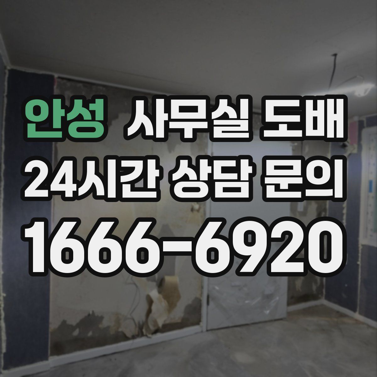 안성 사무실 도배