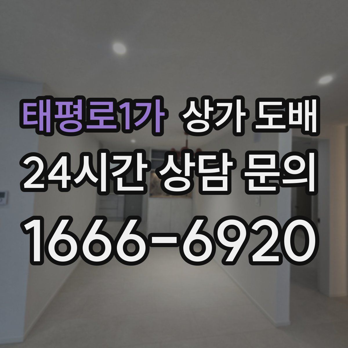 태평로1가 상가 도배