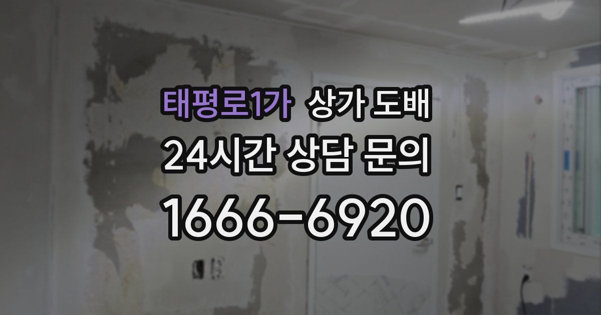 태평로1가 상가 도배