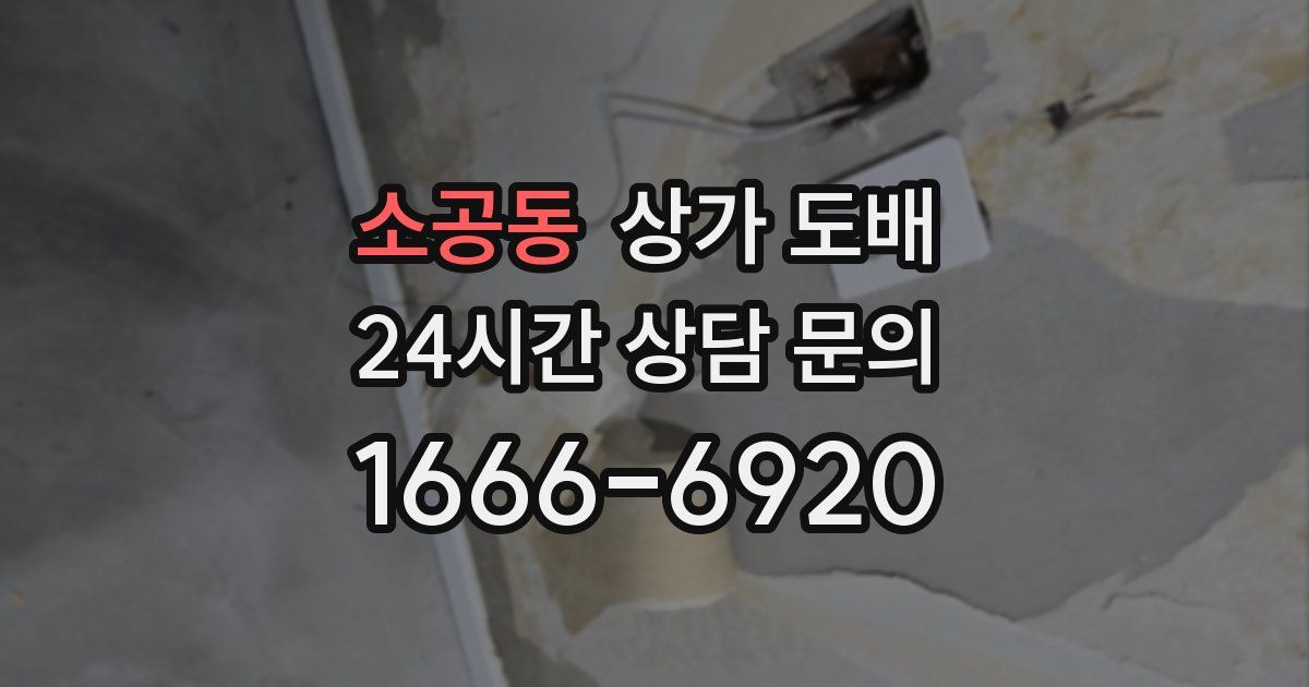소공동 상가 도배