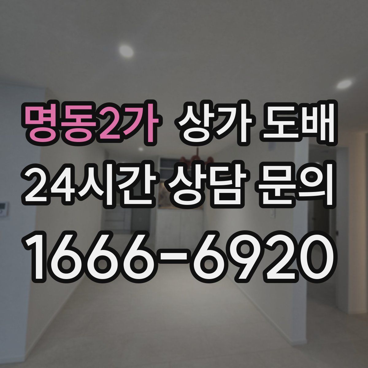명동2가 상가 도배