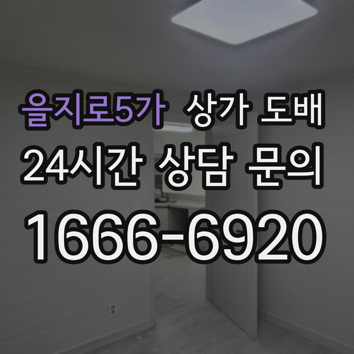 을지로5가 상가 도배