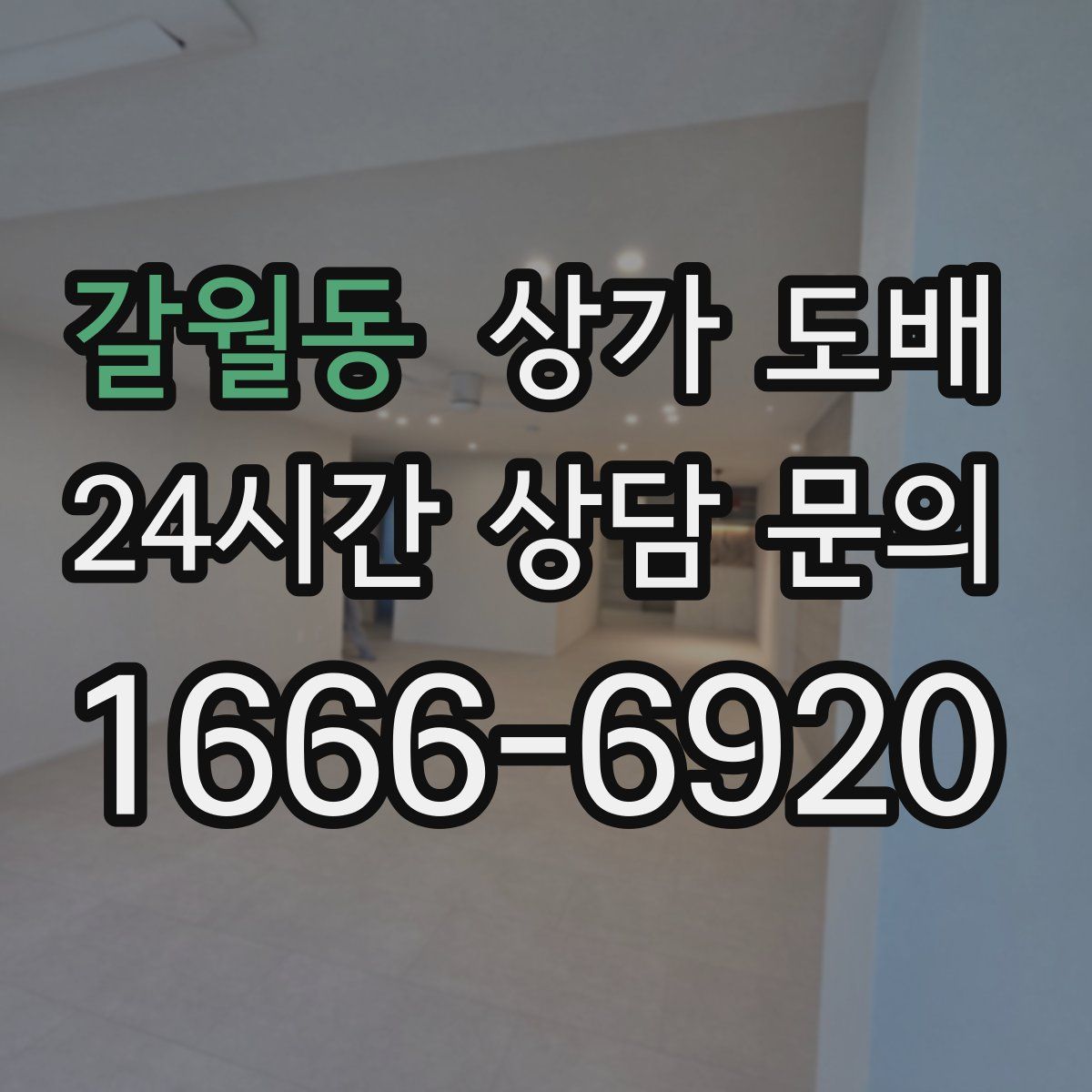 갈월동 상가 도배