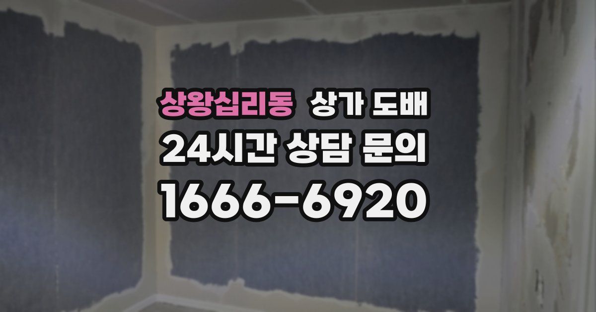 상왕십리동 상가 도배