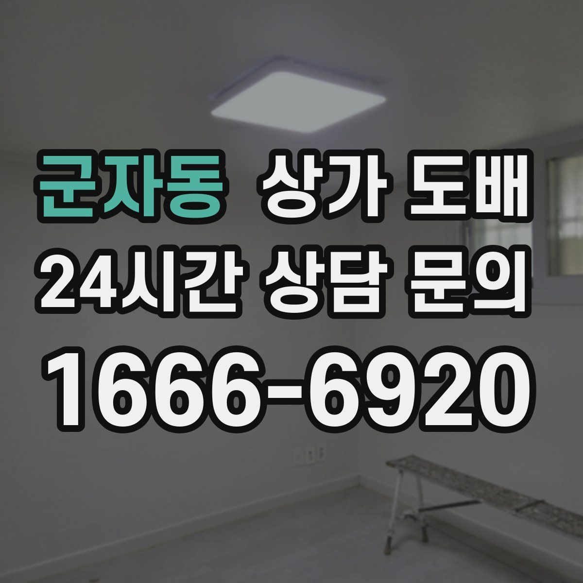 군자동 상가 도배