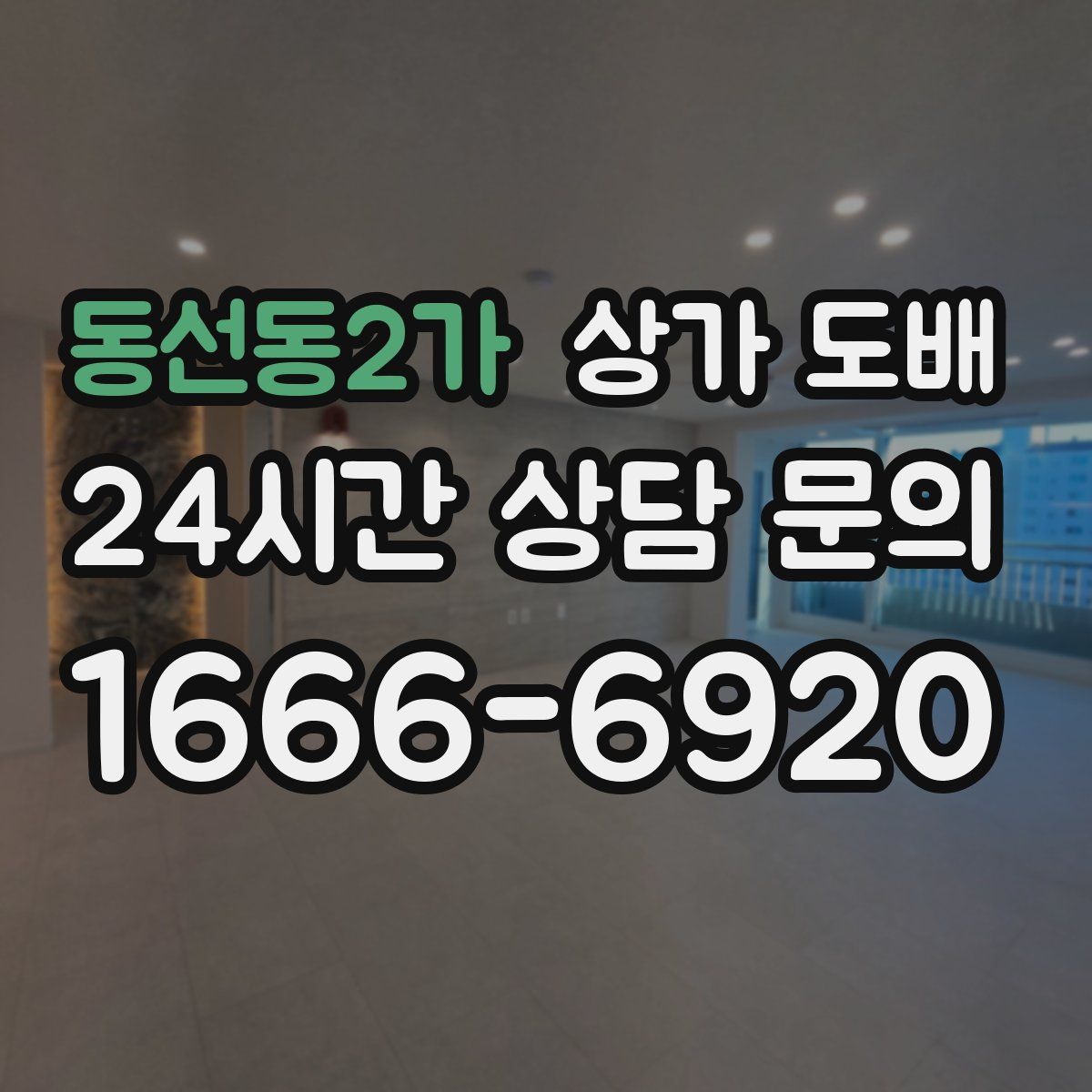 동선동2가 상가 도배