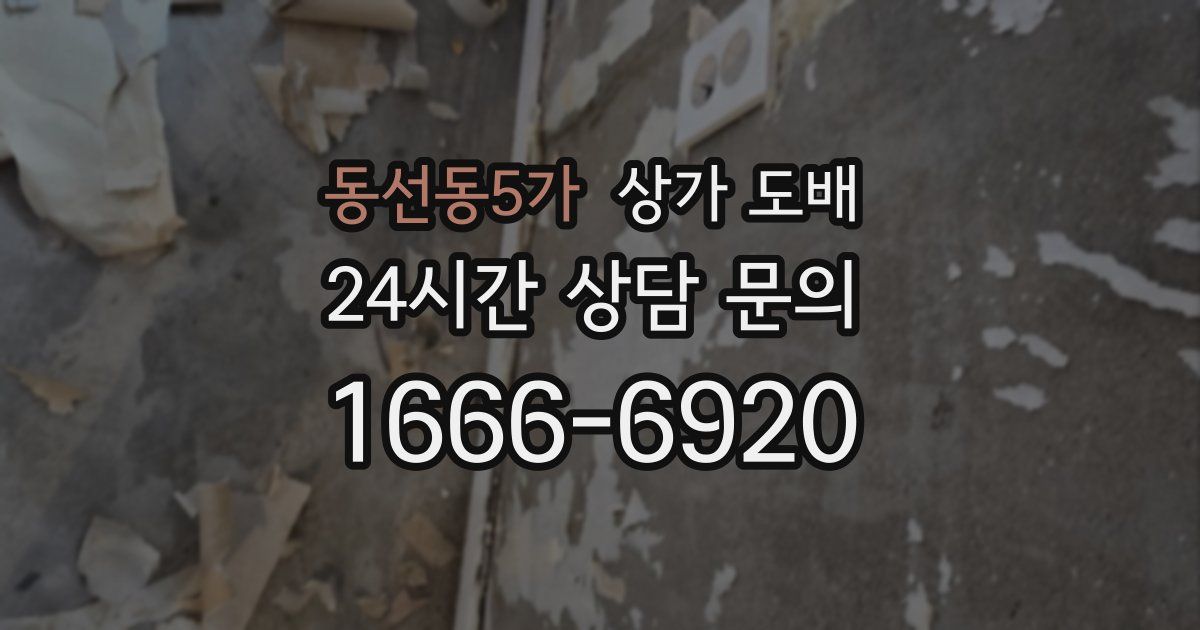 동선동5가 상가 도배