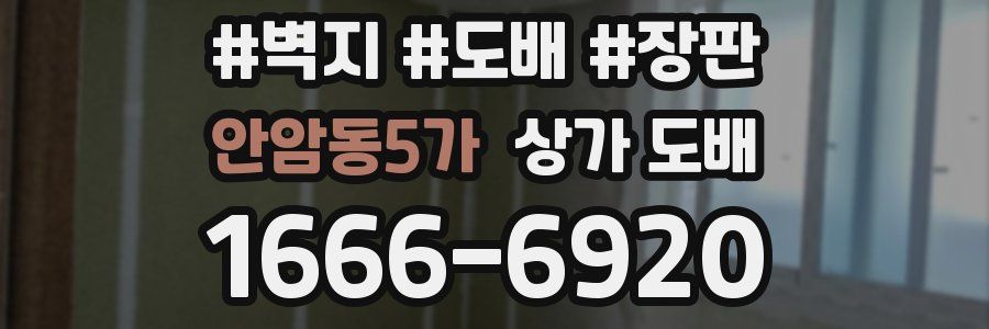 안암동5가 상가 도배