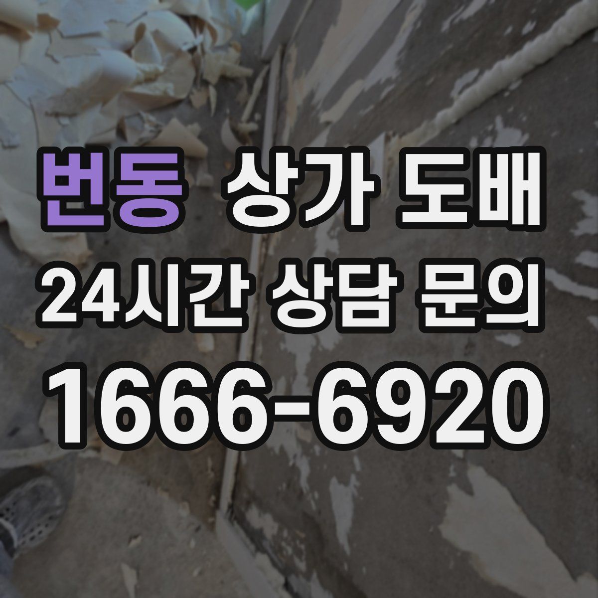 번동 상가 도배