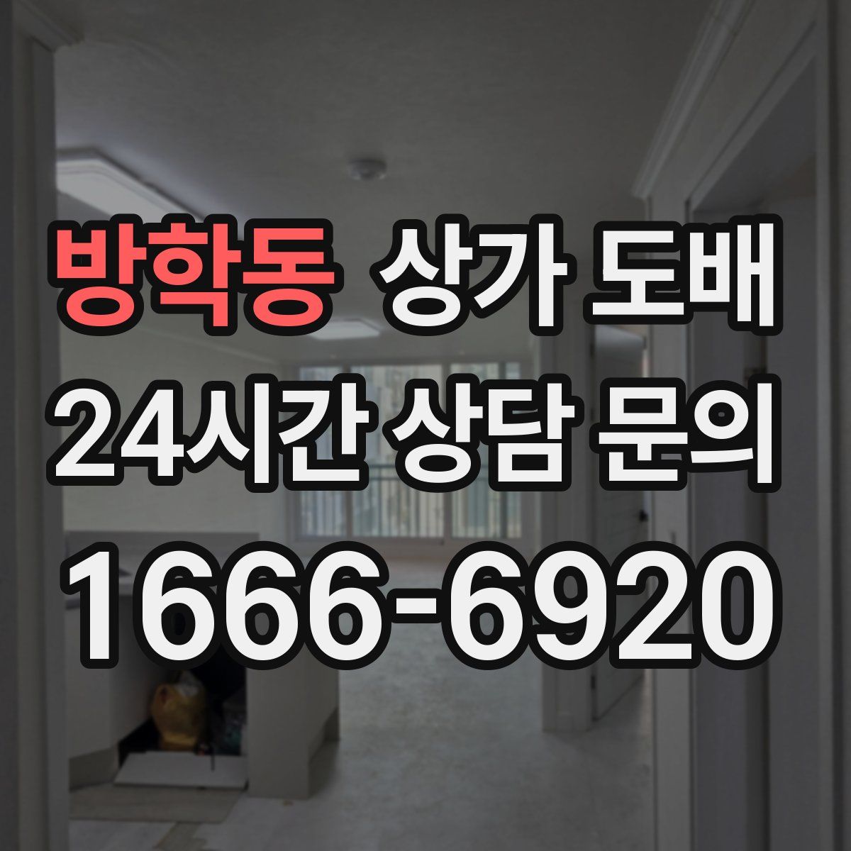 방학동 상가 도배