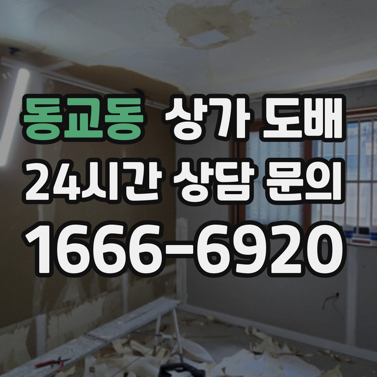 동교동 상가 도배