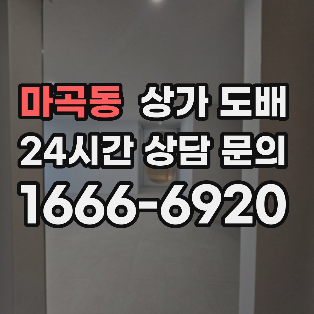 마곡동 상가 도배