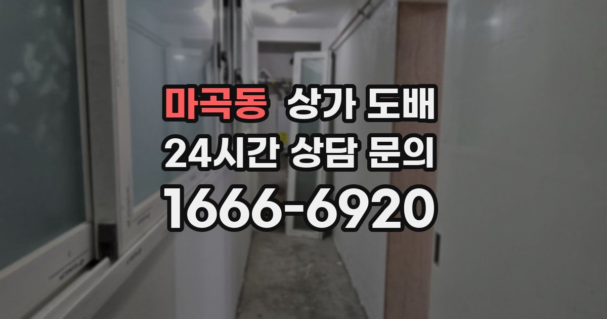 마곡동 상가 도배