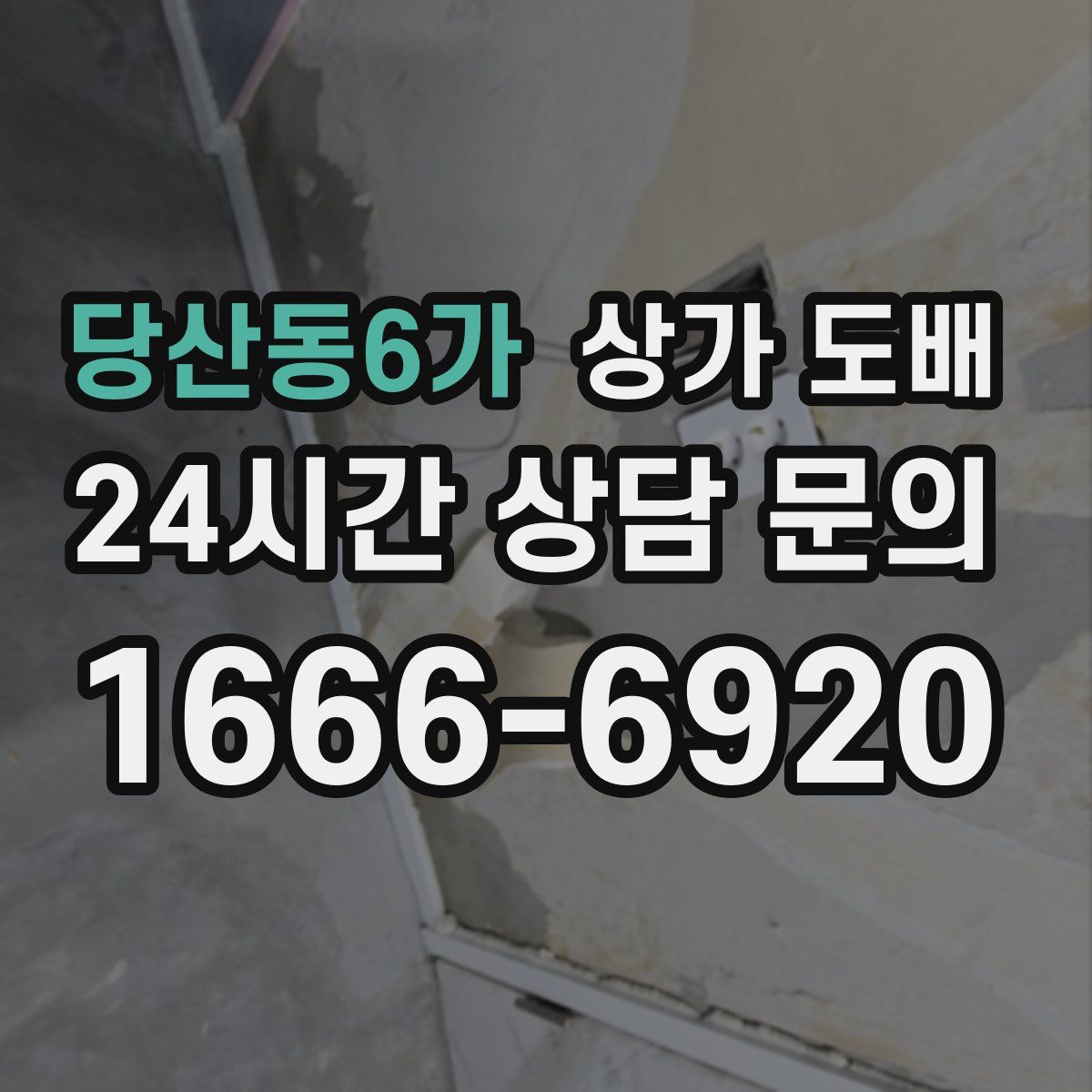 당산동6가 상가 도배