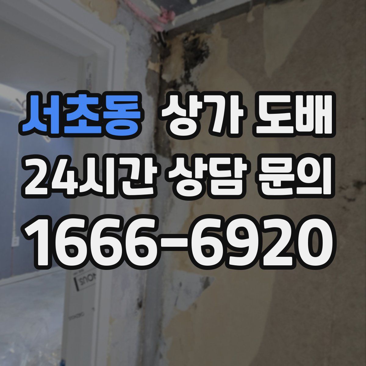 서초동 상가 도배