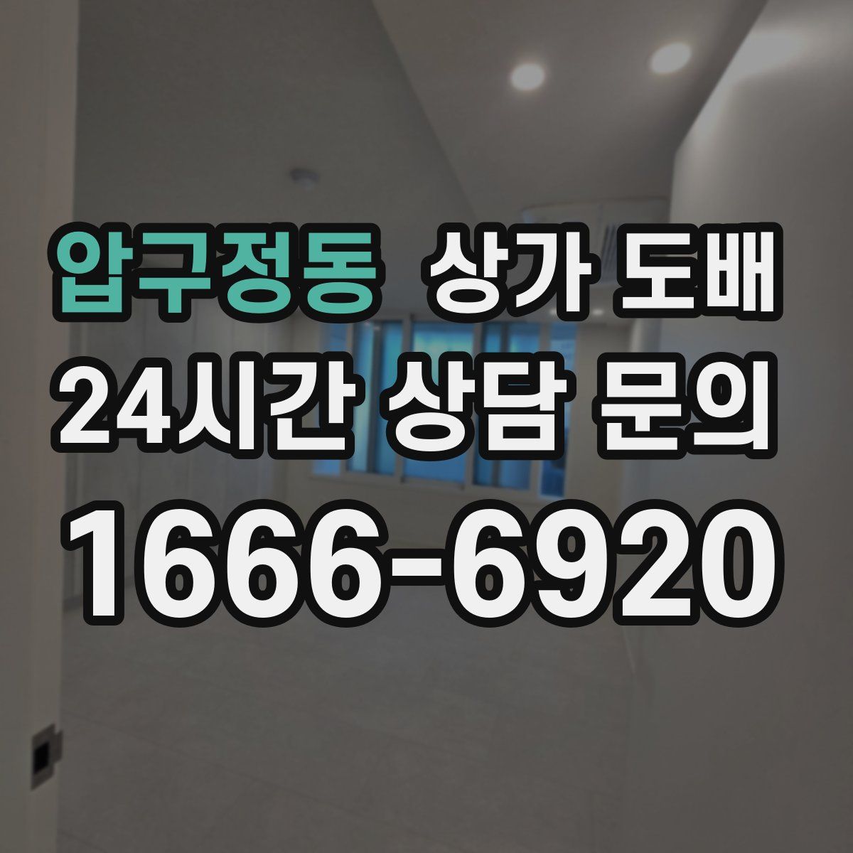 압구정동 상가 도배
