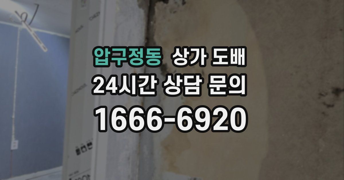 압구정동 상가 도배