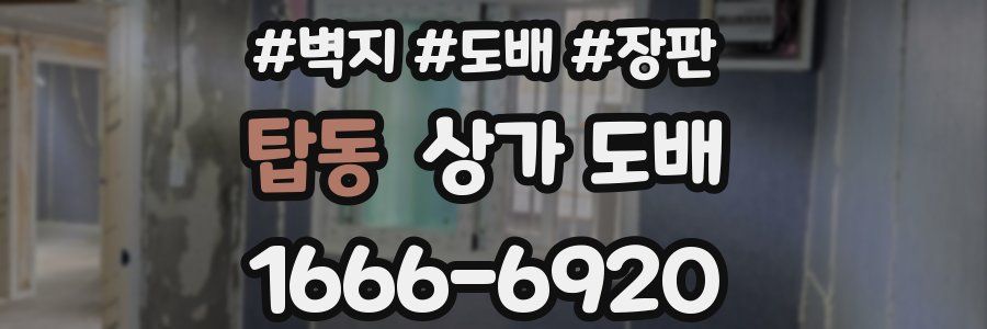 탑동 상가 도배