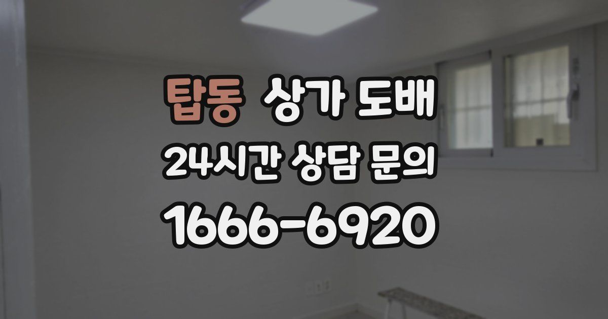 탑동 상가 도배