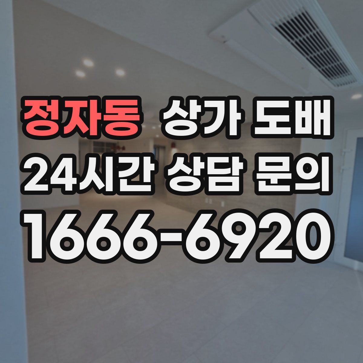 정자동 상가 도배