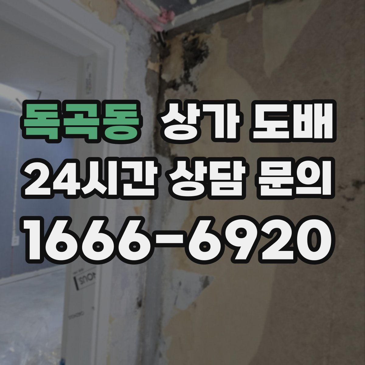 독곡동 상가 도배