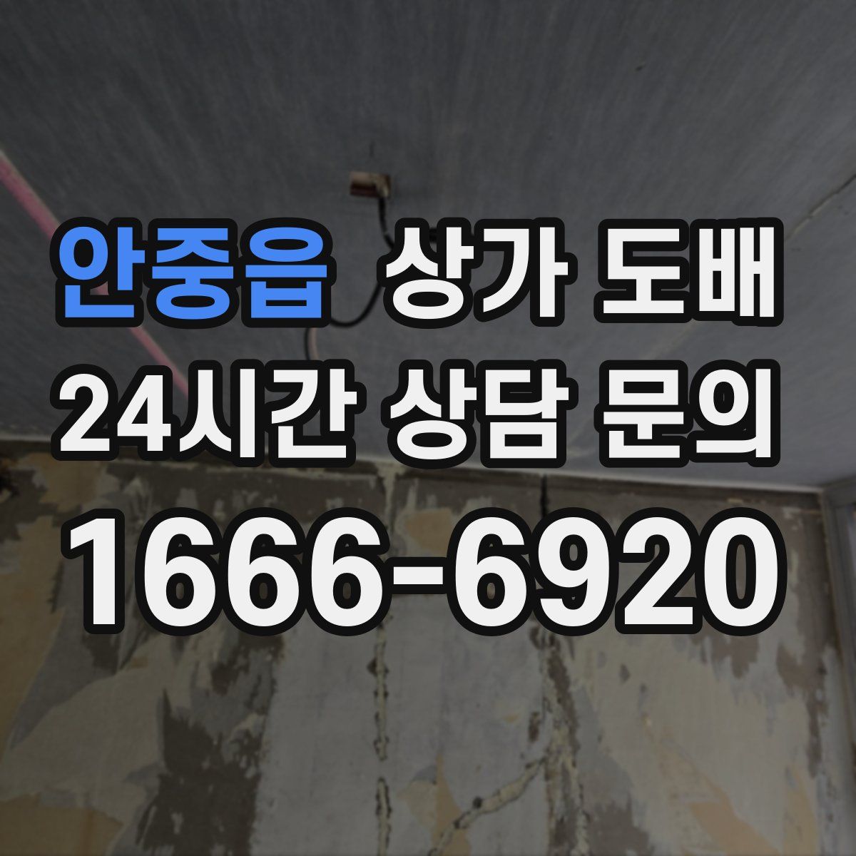 안중읍 상가 도배