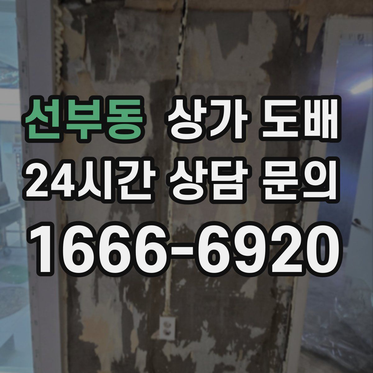 선부동 상가 도배