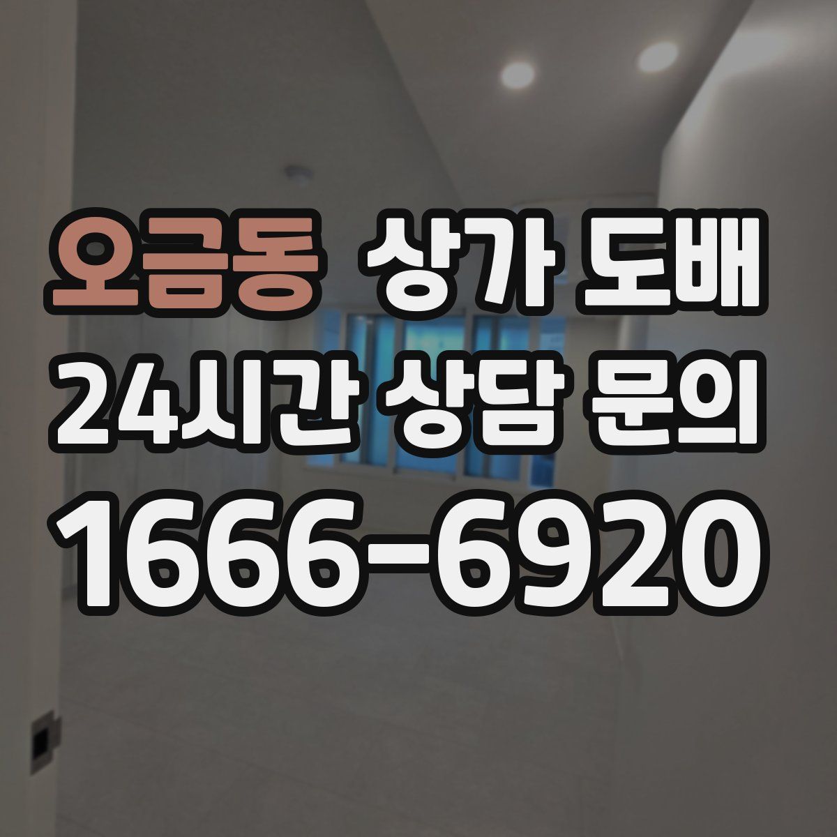 오금동 상가 도배
