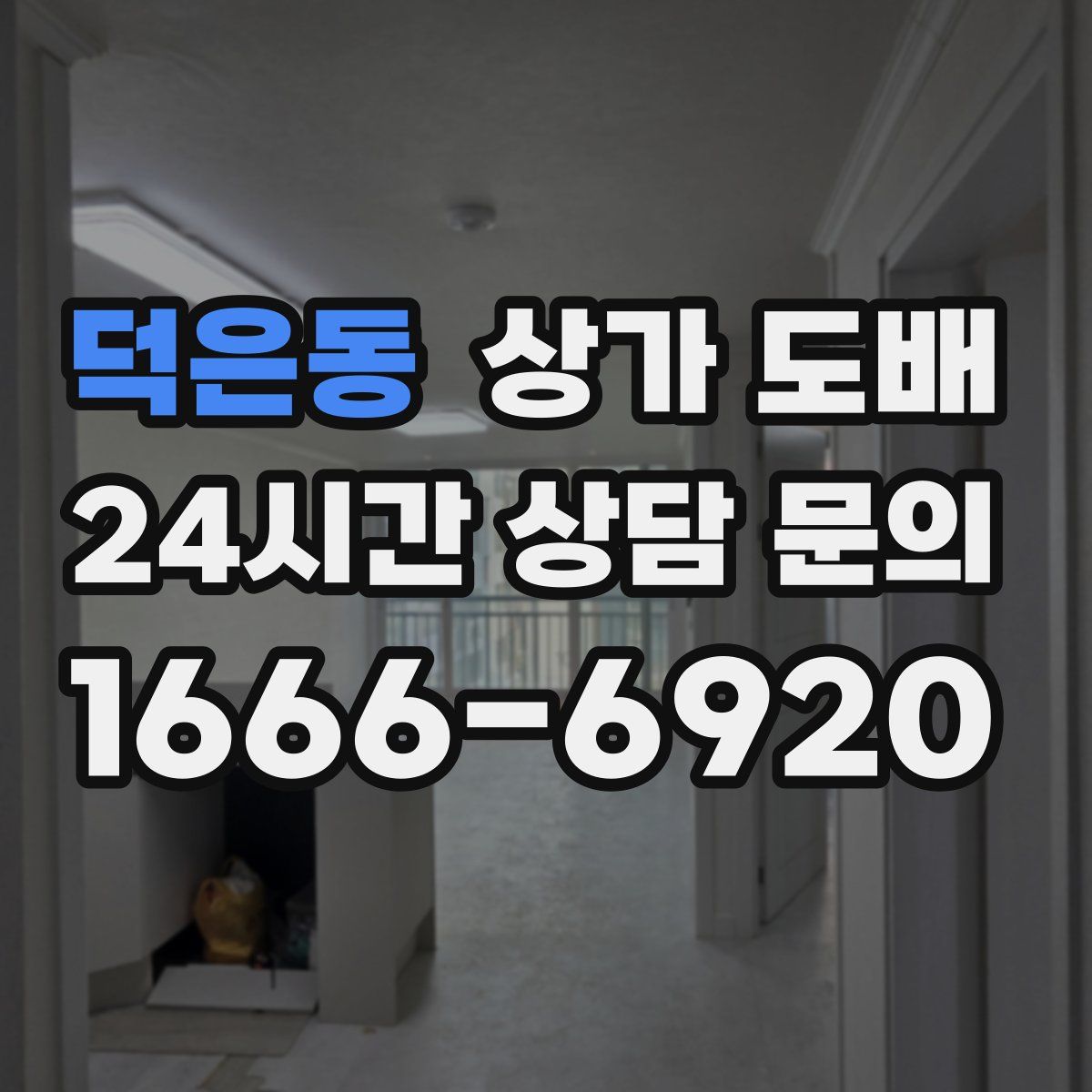 덕은동 상가 도배