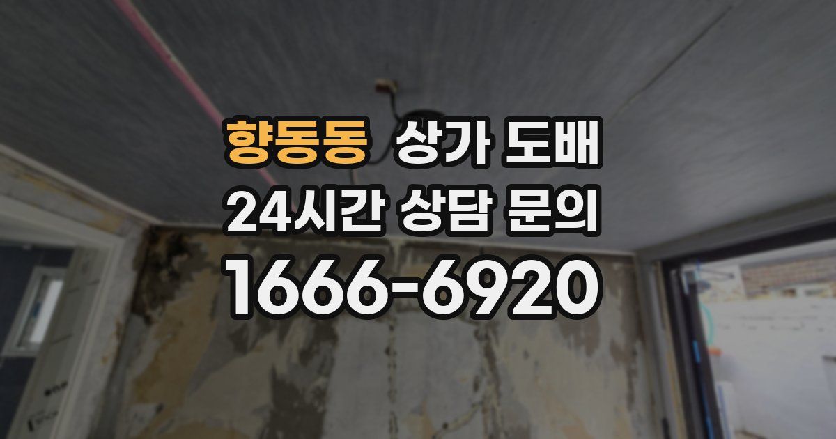 향동동 상가 도배