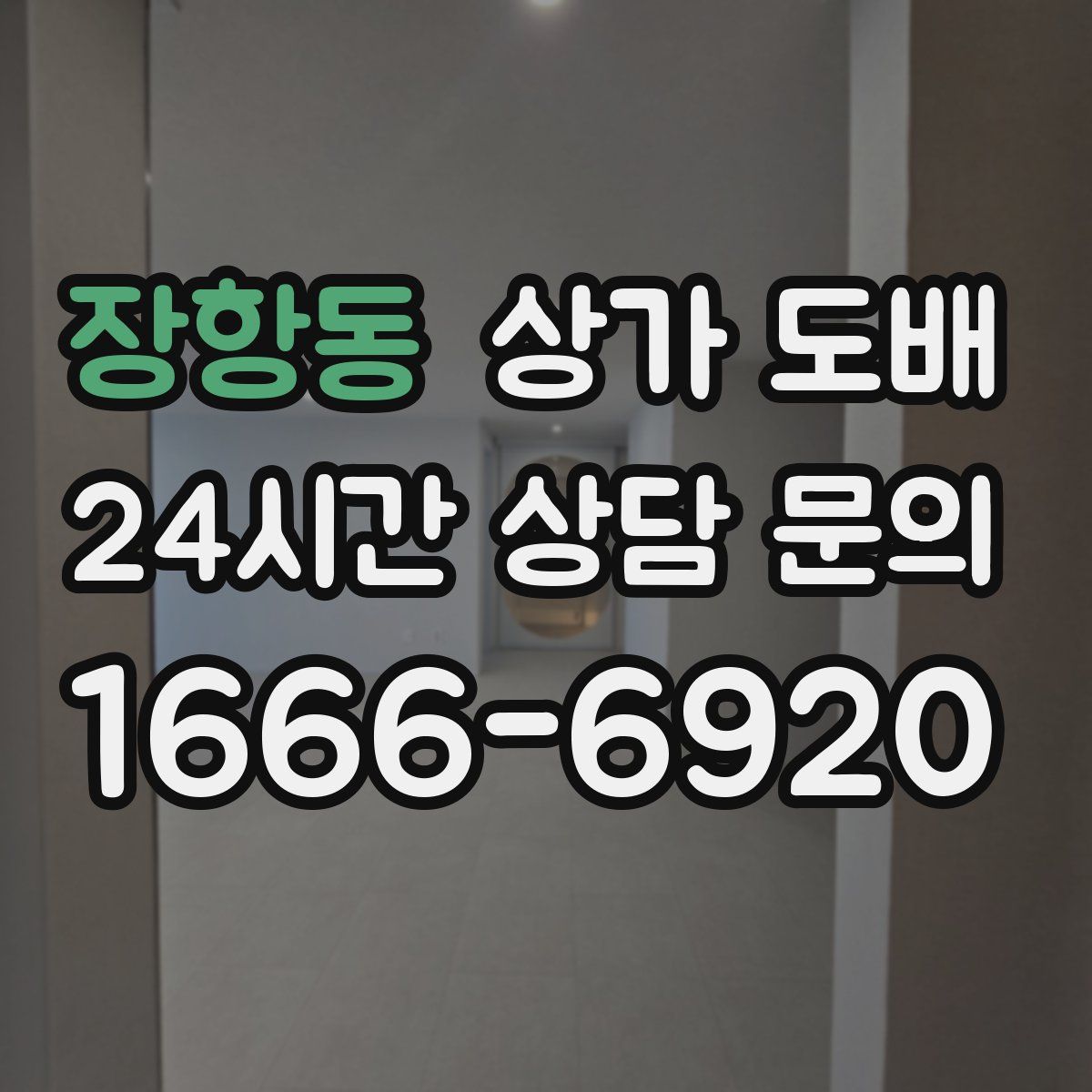 장항동 상가 도배
