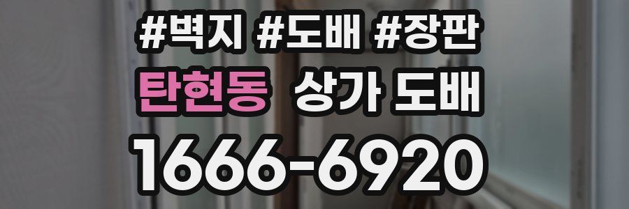 탄현동 상가 도배