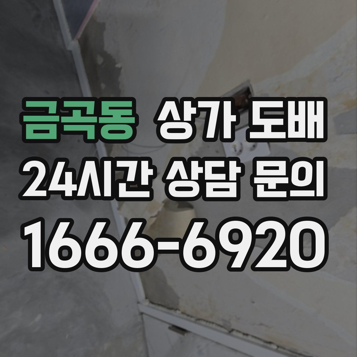 금곡동 상가 도배