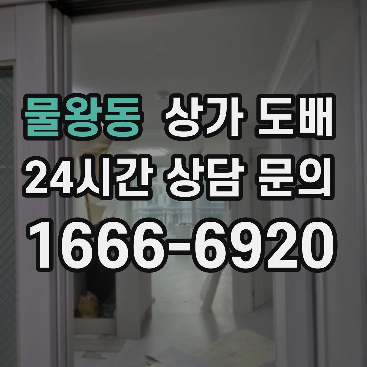 물왕동 상가 도배