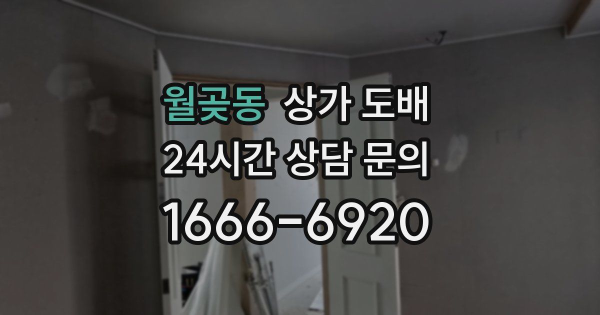 월곶동 상가 도배