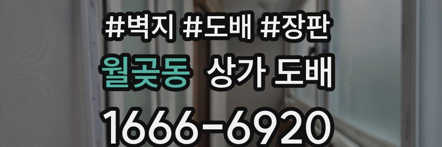 월곶동 상가 도배