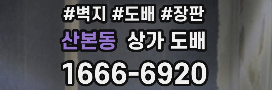 산본동 상가 도배